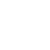icon_כינוס נכסים3